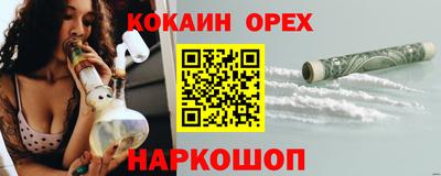 спайс Кингисепп