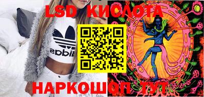 спайс Кингисепп