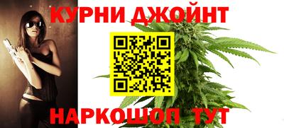 спайс Кингисепп