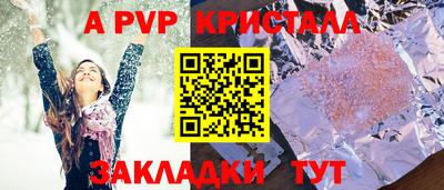 спайс Кингисепп