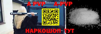 спайс Кингисепп