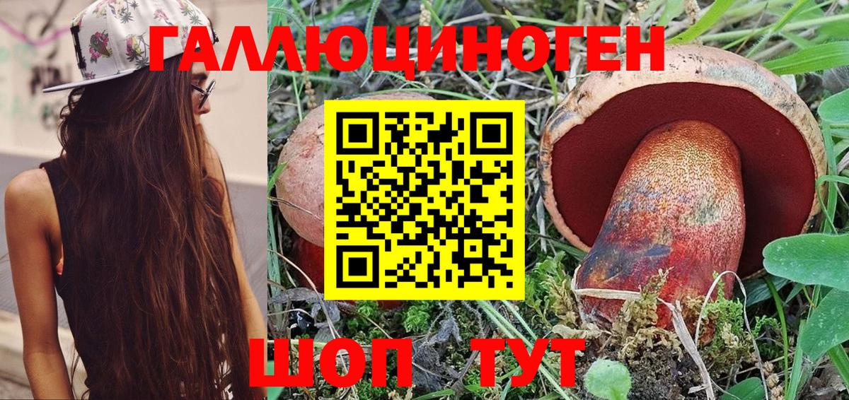 Псилоцибиновые грибы GOLDEN TEACHER  Галлюциногенные грибы Psilocybe  Бирск  Вход с VPN 